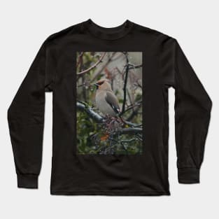 Waxwing case Long Sleeve T-Shirt